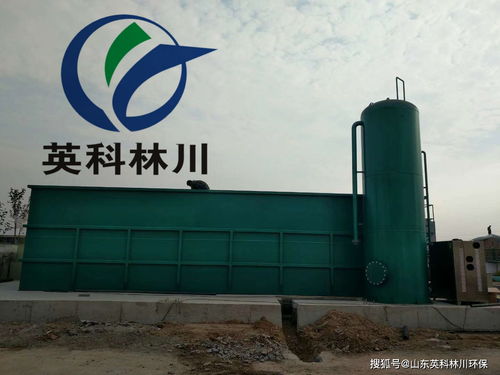 山楂制品加工污水处理设备 一体式污水处理达标排放系统与气浮机应用